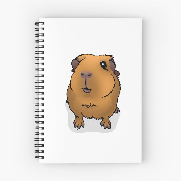 Item preview, Saffron Gold Guinea Pig designed and sold by KatsGuineapigs.