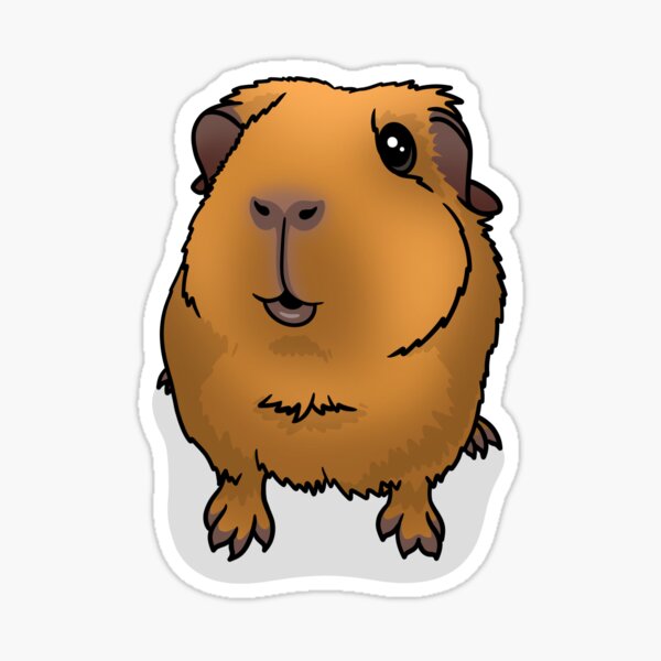 Item preview, Saffron Gold Guinea Pig designed and sold by KatsGuineapigs.