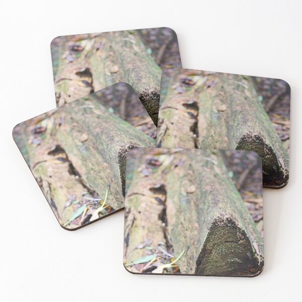 Item preview, Log designed and sold by Jodie Cooper.