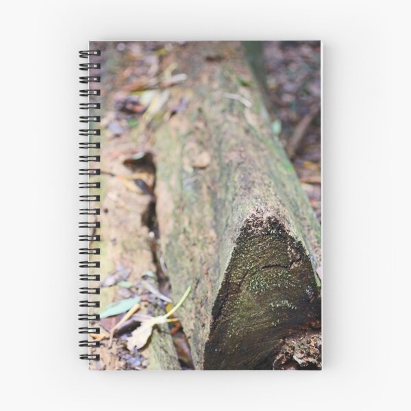 Item preview, Log designed and sold by Jodie Cooper.