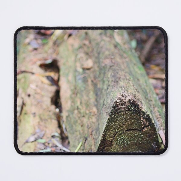 Item preview, Log designed and sold by Jodie Cooper.