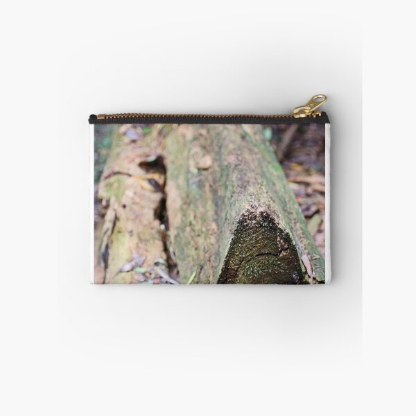 Item preview, Log designed and sold by Jodie Cooper.