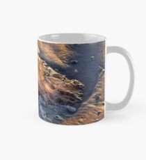 Stranded Jellyfish Mug