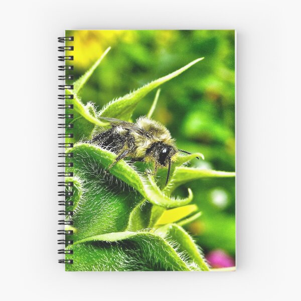 Item preview, Bee Hiding Place designed and sold by BBrightman.
