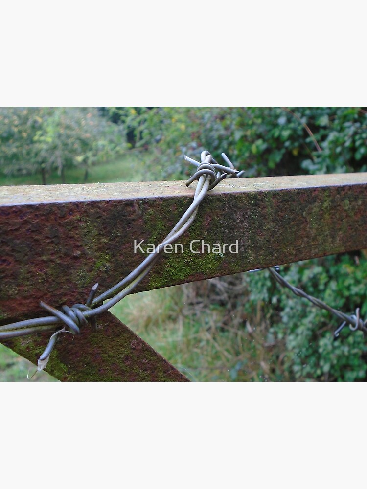 barbed wire gate