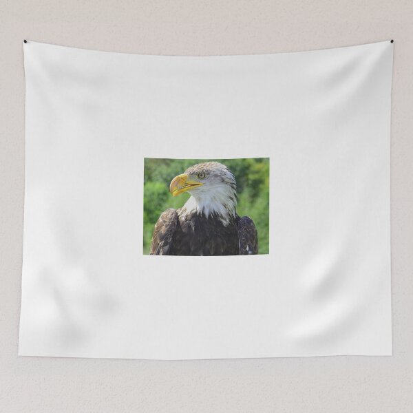 Item preview, Fly Like An Eagle. designed and sold by vette.