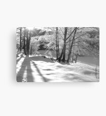 Ice Storm Metal Print
