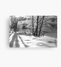 Ice Storm Canvas Print