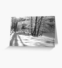 Ice Storm Greeting Card