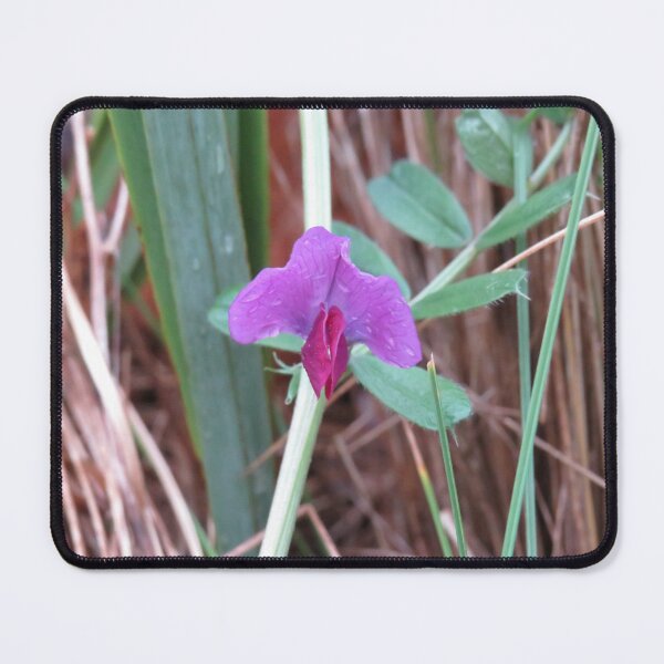 Item preview, Common vetch flower designed and sold by greentiger1.