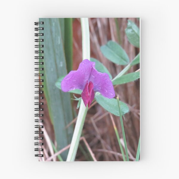Item preview, Common vetch flower designed and sold by greentiger1.