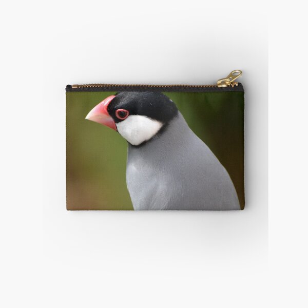 Item preview, Java Finch designed and sold by lizdomett.