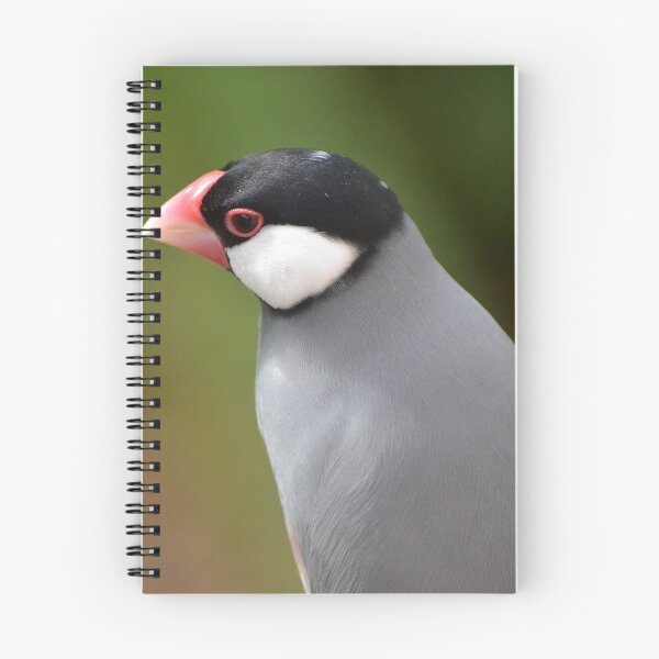 Item preview, Java Finch designed and sold by lizdomett.