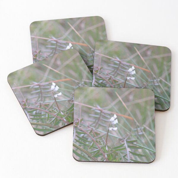 Item preview, Four seeded vetch flowers designed and sold by greentiger1.