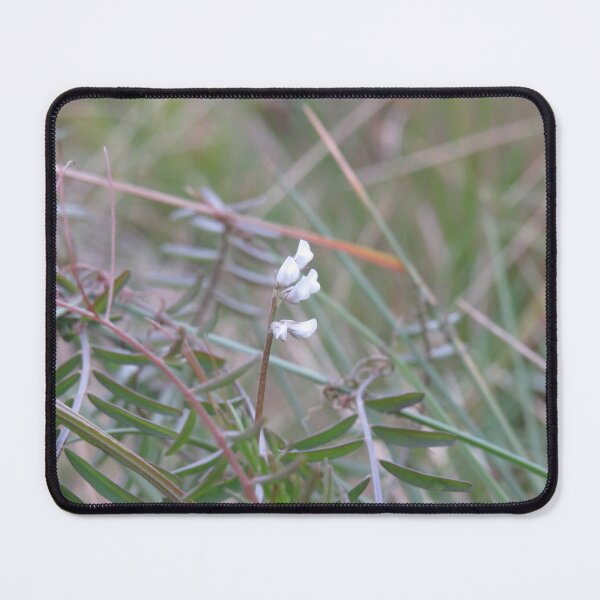 Item preview, Four seeded vetch flowers designed and sold by greentiger1.