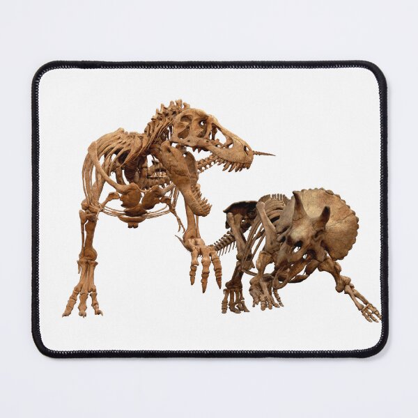 Item preview, I'm a Dino Fan... designed and sold by OROcos.