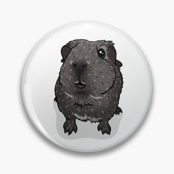 Item preview, Silver Agouti Guinea Pig designed and sold by KatsGuineapigs.