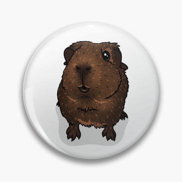 Item preview, Chocolate Agouti Guinea Pig designed and sold by KatsGuineapigs.