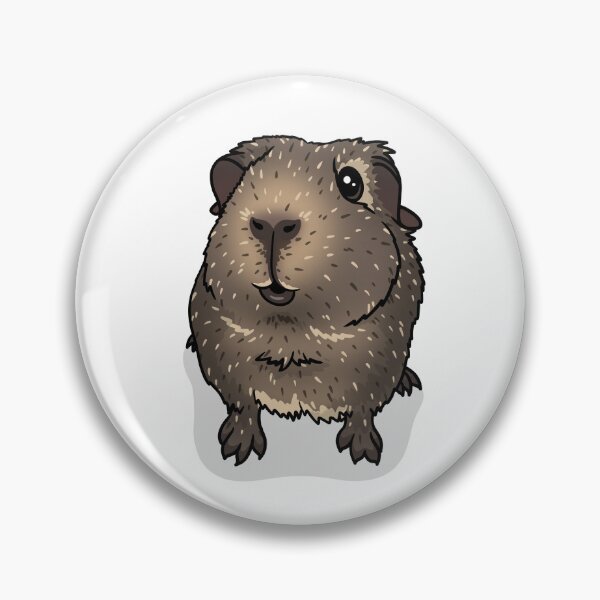 Item preview, Cream Agouti Guinea Pig designed and sold by KatsGuineapigs.