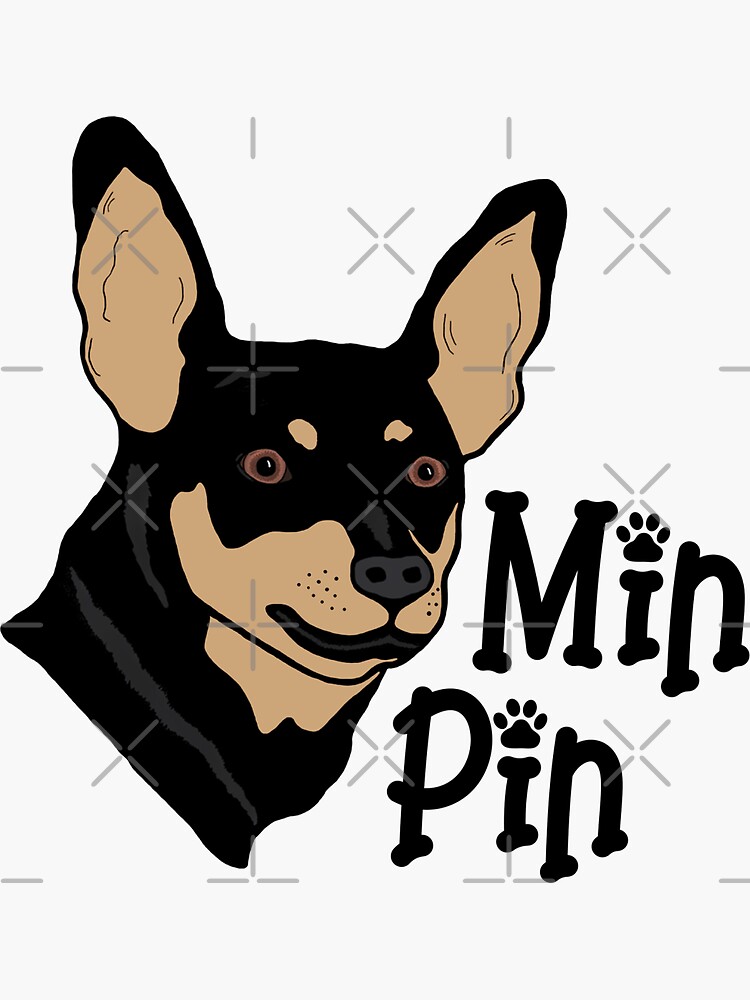 "Min Pin Digital Drawing" Sticker for Sale by ColorAndVerse | Redbubble