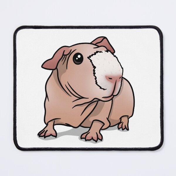 Item preview, Skinny Pig Pink/White designed and sold by KatsGuineapigs.