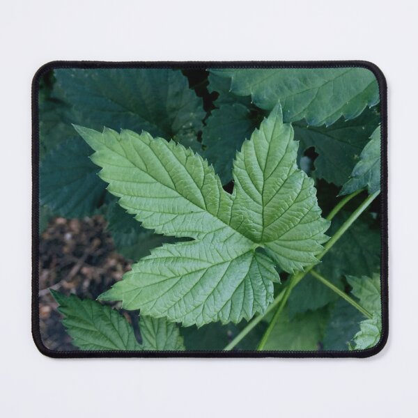 Item preview, Brave designed and sold by SnappedbyRivka.