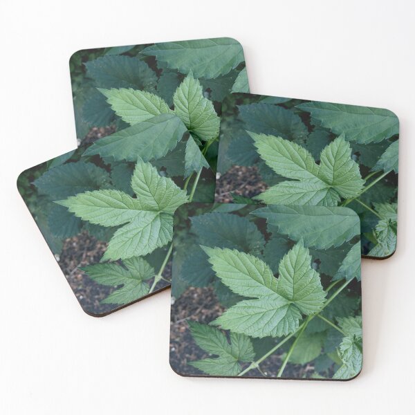 Item preview, Brave designed and sold by SnappedbyRivka.
