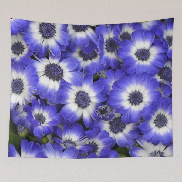 Item preview, Blue and White designed and sold by lizdomett.