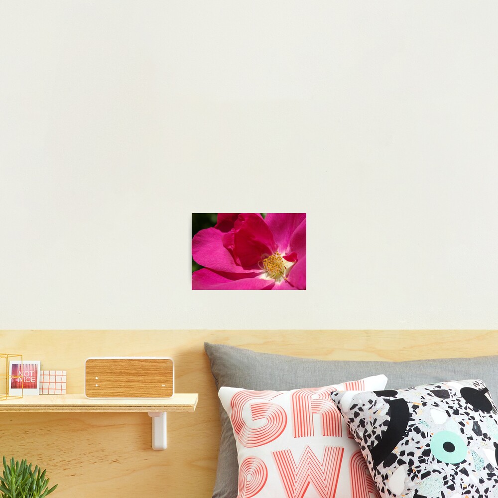 Item preview, Photographic Print designed and sold by markogt.
