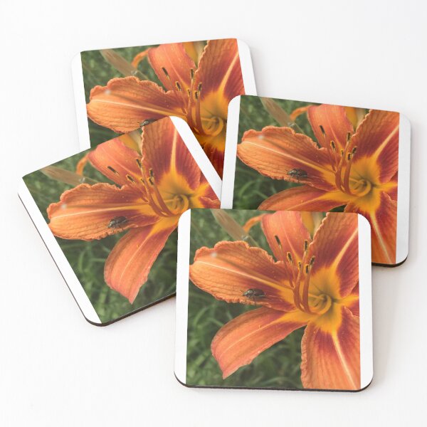 Item preview, Daylily featuring The Beetle designed and sold by Luhdiuh.