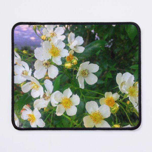 Item preview, Resilient designed and sold by SnappedbyRivka.