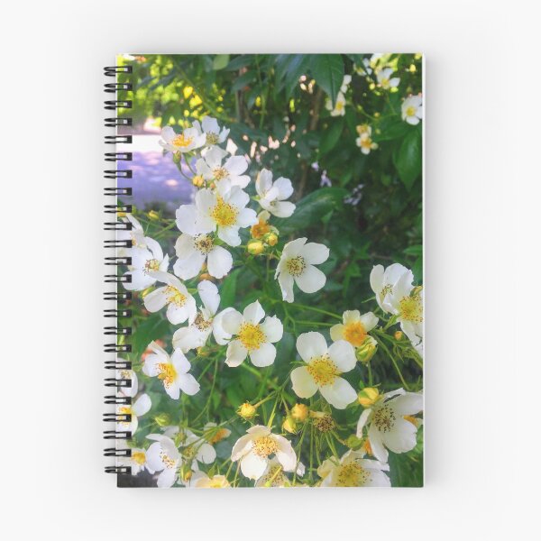 Item preview, Resilient designed and sold by SnappedbyRivka.