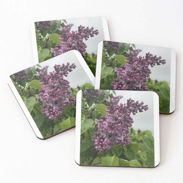 Item preview, Lilac Blooms with Dew designed and sold by Luhdiuh.