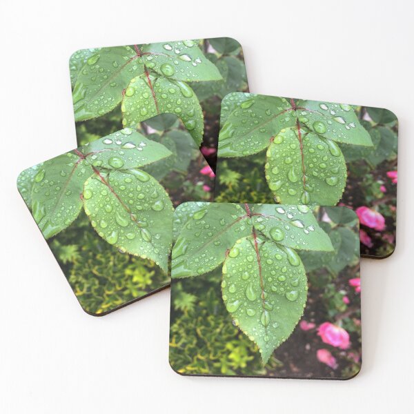 Item preview, Focus designed and sold by SnappedbyRivka.