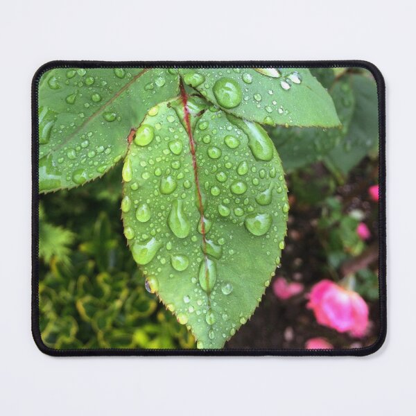Item preview, Focus designed and sold by SnappedbyRivka.