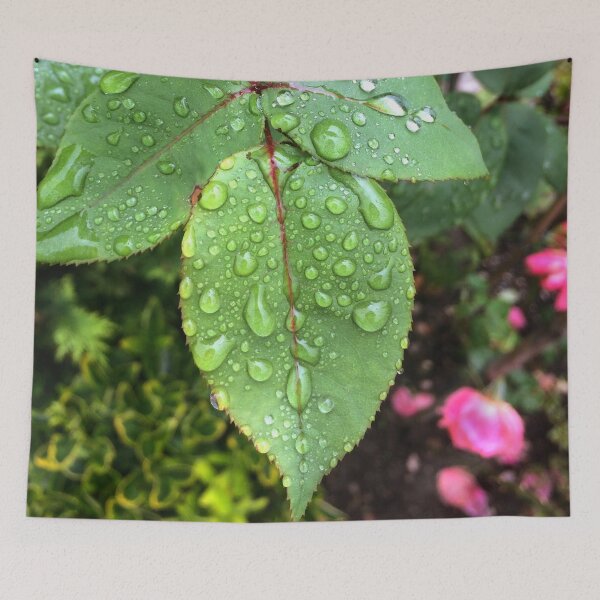 Item preview, Focus designed and sold by SnappedbyRivka.