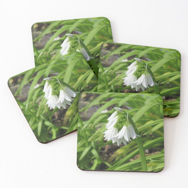 Item preview, Three cornered garlic flowers designed and sold by greentiger1.
