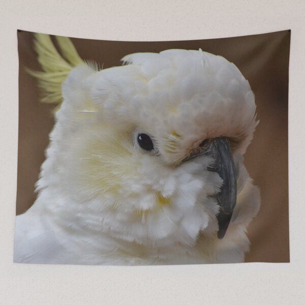 Item preview, Fine Feathers designed and sold by lizdomett.