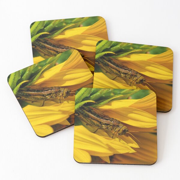 Item preview, Hiding in Plain Sight designed and sold by shutterbug2010.