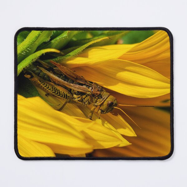 Item preview, Hiding in Plain Sight designed and sold by shutterbug2010.