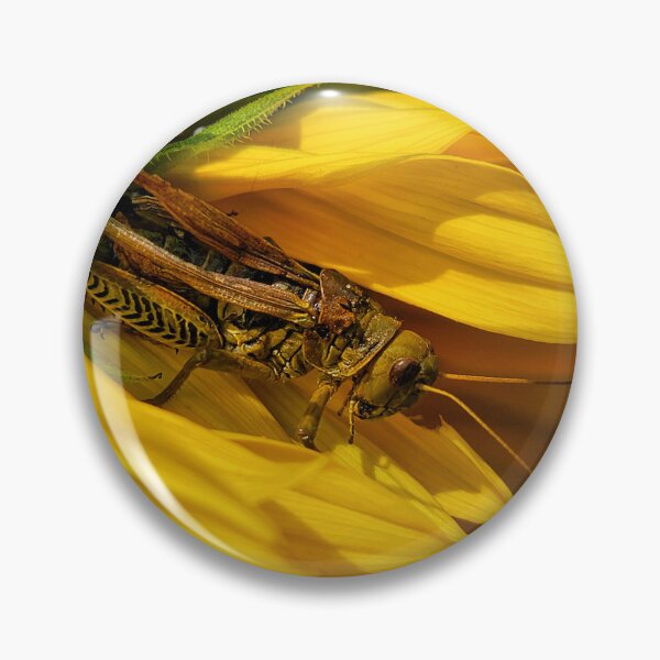 Item preview, Hiding in Plain Sight designed and sold by shutterbug2010.