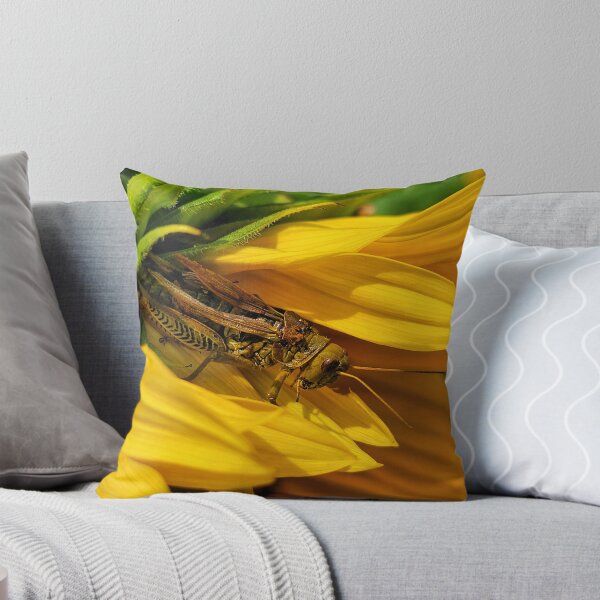 Item preview, Hiding in Plain Sight designed and sold by shutterbug2010.