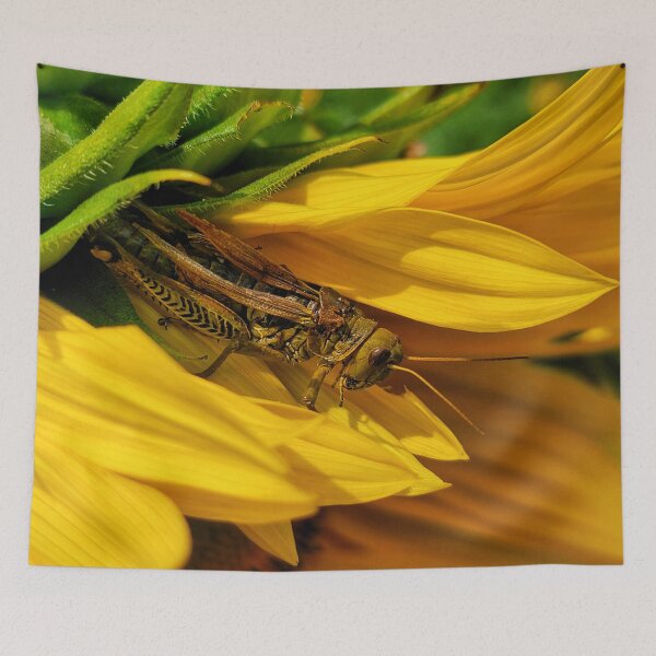 Item preview, Hiding in Plain Sight designed and sold by shutterbug2010.