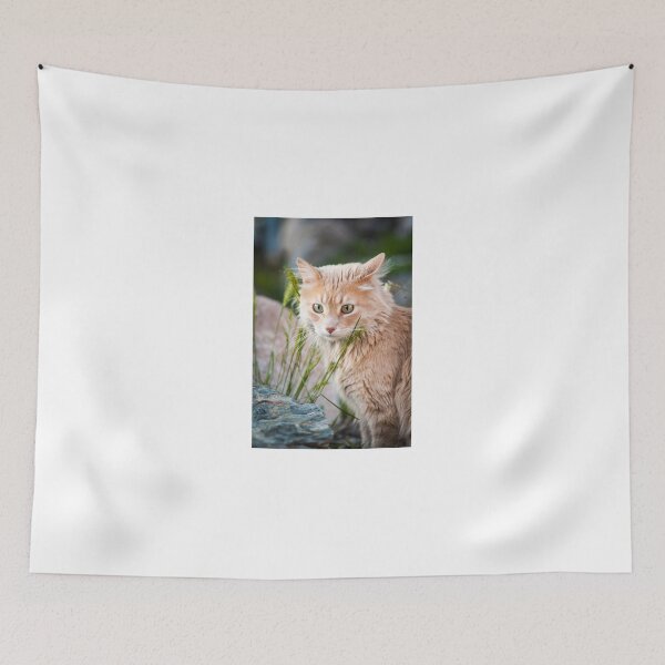 Item preview, beautiful fluffy orange cat with green eyes designed and sold by Sillygirl101.