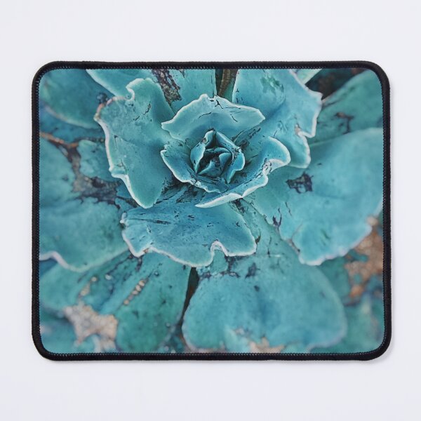Item preview, sea blue succulent designed and sold by Jesanns.
