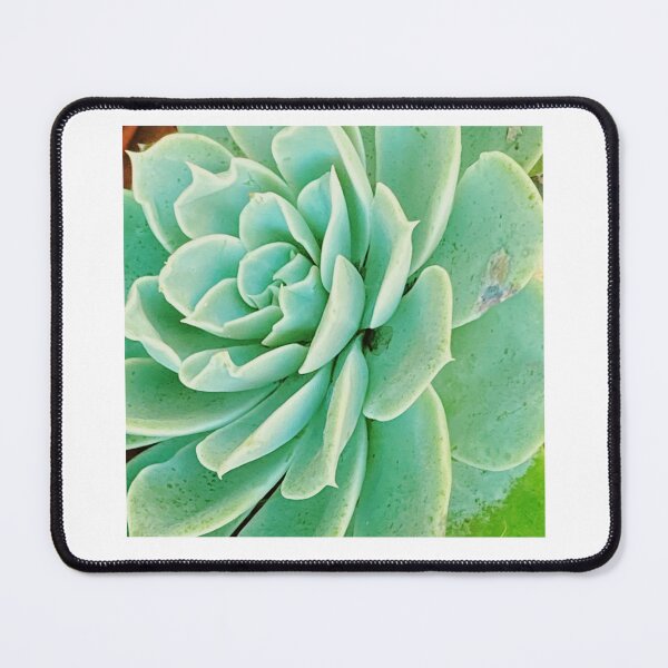 Item preview, green succulent designed and sold by Jesanns.
