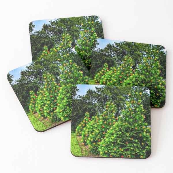 Item preview, Four pretty lit pine trees designed and sold by PandLcreations.