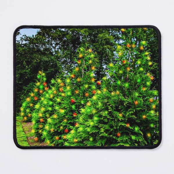 Item preview, Four pretty lit pine trees designed and sold by PandLcreations.