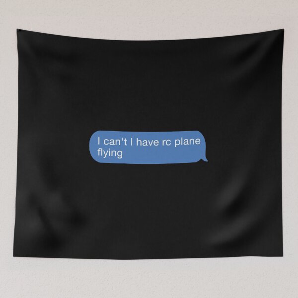 Item preview, I cant I have rc plane flying designed and sold by orlumbuspirate.