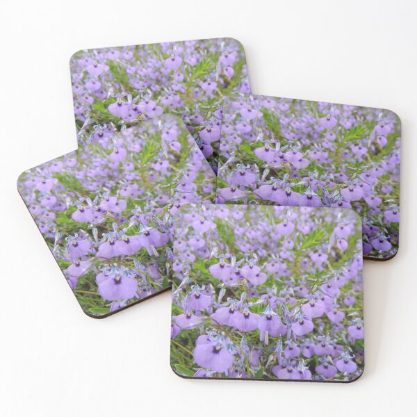 Item preview, Slender Violet Bush (Hybanthus monopetalus) designed and sold by Marilyn Harris.